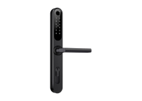 Home Slim BLACK - умный замок для апартаментов и домохозяйств